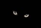 Хелен's picture