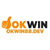 Аватар пользователя okwin88dev Аватар пользователя okwin88dev