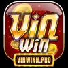 Аватар пользователя vinwinnpro