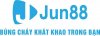 jun88done1's picture