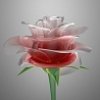 Екатерина Игоревна's picture