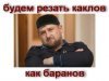 Аватар пользователя Honey Bunny Аватар пользователя Honey Bunny