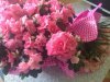Танюшенька's picture Танюшенька's picture